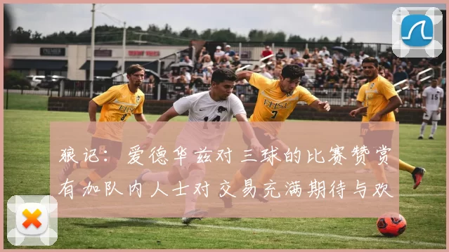 狼记：爱德华兹对三球的比赛赞赏有加队内人士对交易充满期待与欢欣